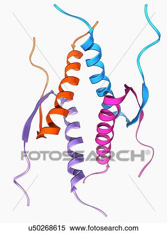Tumour suppressor protein molecular model View Large Illustration Stock Illustration - Tumour suppressor protein molecular model. Fotosearch