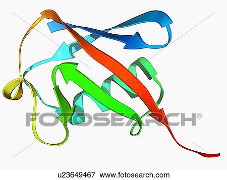Stock Illustration - Ubiquitin molecule. Fotosearch