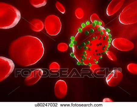 Viral infection, artwork View Large Illustration Drawing - Viral infection, artwork. Fotosearch