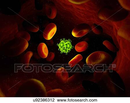 Drawing - Viral infection, conceptual artwork. Fotosearch