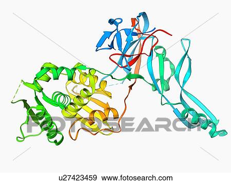 VMA-1 derived endonuclease molecule View Large Illustration Stock Illustration - VMA-1 derived endonuclease molecule. Fotosearch