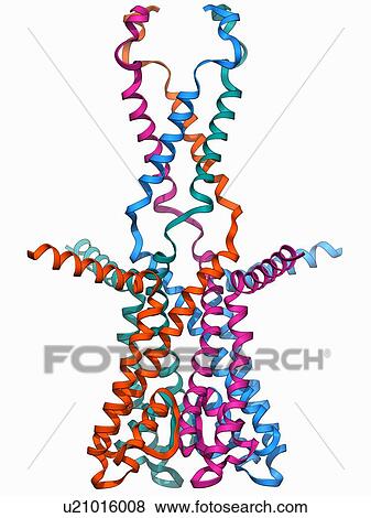 Voltage-gated potassium channel View Large Illustration Stock Illustration - Voltage-gated potassium channel. Fotosearch