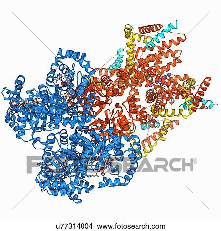 Voltage-gated potassium channel View Large Illustration Stock Illustration - Voltage-gated potassium channel. Fotosearch