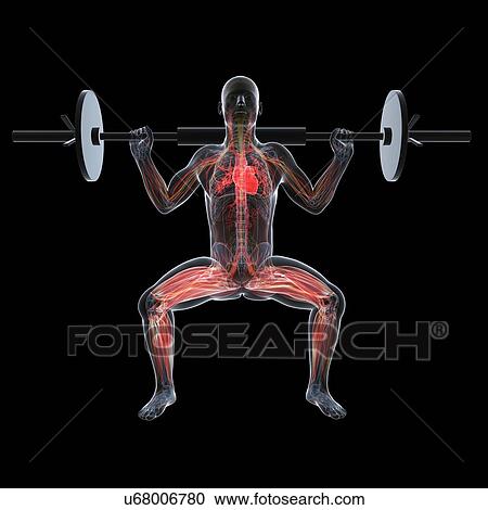 Weightlifter, artwork View Large Illustration Clipart - Weightlifter, artwork. Fotosearch