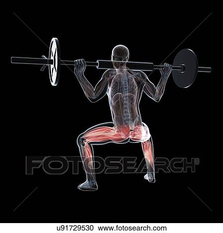 Weightlifter, artwork View Large Illustration Clipart - Weightlifter, artwork. Fotosearch