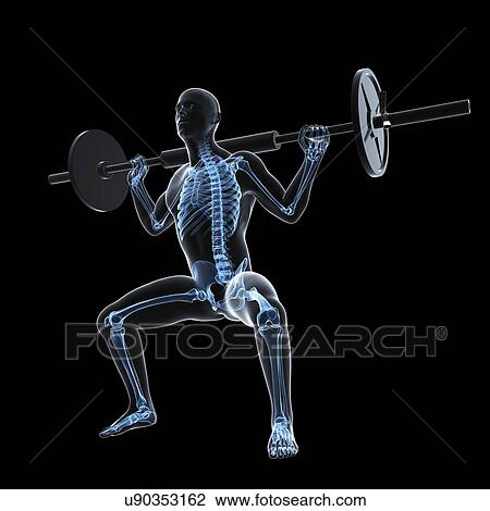 Weightlifter, artwork View Large Illustration Drawing - Weightlifter, artwork. Fotosearch