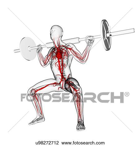 Weightlifter, artwork View Large Illustration Drawing - Weightlifter, artwork. Fotosearch
