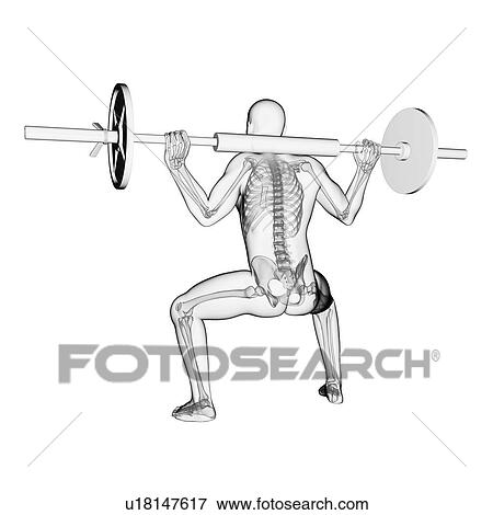 Stock Illustration - Weightlifter, artwork. Fotosearch