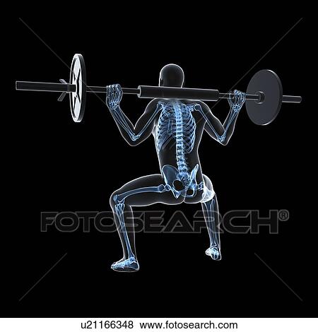 Weightlifter, artwork View Large Illustration Stock Illustration - Weightlifter, artwork. Fotosearch