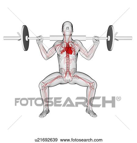 Weightlifter, artwork View Large Illustration Stock Illustration - Weightlifter, artwork. Fotosearch