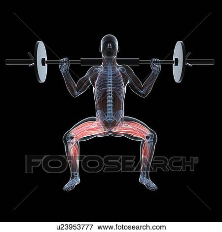 Weightlifter, artwork View Large Illustration Stock Illustration - Weightlifter, artwork. Fotosearch