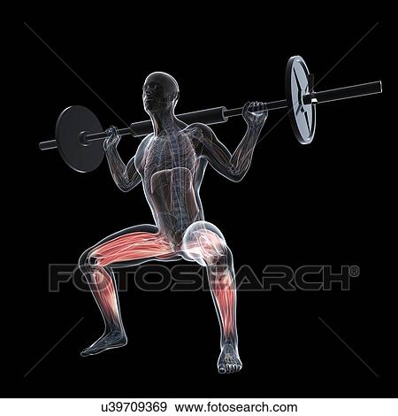 Weightlifter, artwork View Large Illustration Stock Illustration - Weightlifter, artwork. Fotosearch
