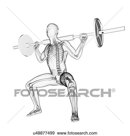 Weightlifter, artwork View Large Illustration Stock Illustration - Weightlifter, artwork. Fotosearch
