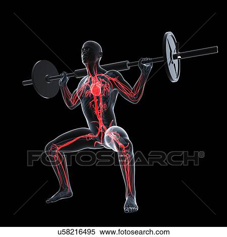 Weightlifter, artwork View Large Illustration Stock Illustration - Weightlifter, artwork. Fotosearch