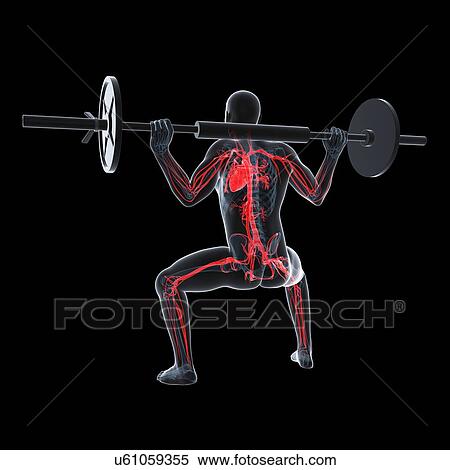 Stock Illustration - Weightlifter, artwork. Fotosearch