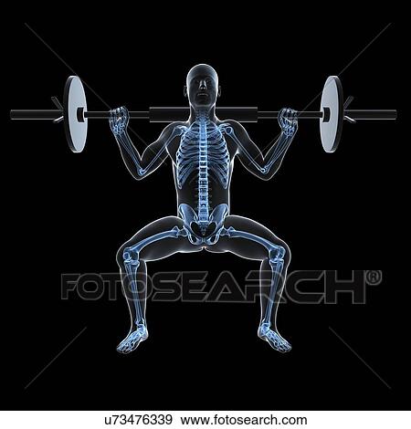 Stock Illustration - Weightlifter, artwork. Fotosearch