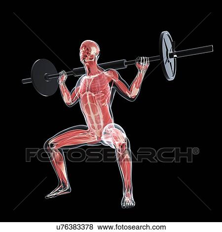 Stock Illustration - Weightlifter, artwork. Fotosearch