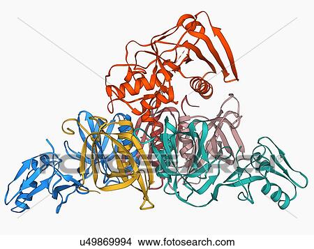 Stock Illustration - Whooping cough toxin molecule. Fotosearch