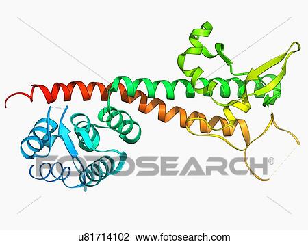 Yersinia pestis virulence factor View Large Illustration Drawing - Yersinia pestis virulence factor. Fotosearch