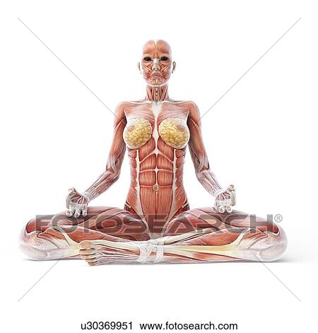 Clip Art - Yoga, artwork. Fotosearch