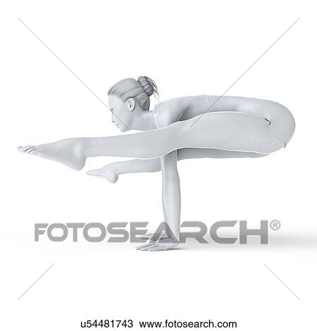 Drawing - Yoga, artwork. Fotosearch