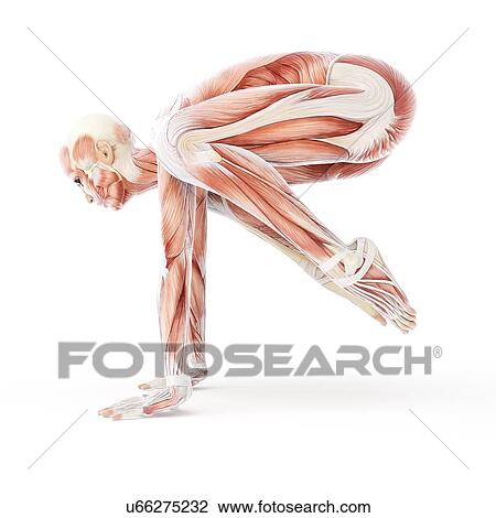Yoga, artwork View Large Illustration Drawing - Yoga, artwork. Fotosearch