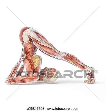 Yoga, artwork View Large Illustration Stock Illustration - Yoga, artwork. Fotosearch