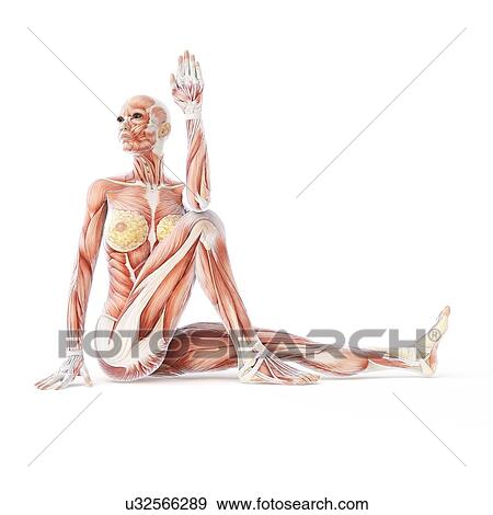 Stock Illustration - Yoga, artwork. Fotosearch