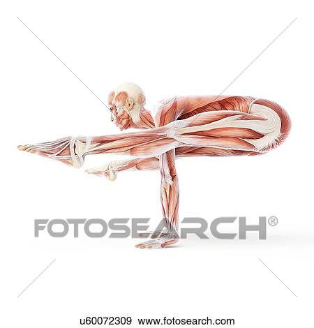 Stock Illustration - Yoga, artwork. Fotosearch