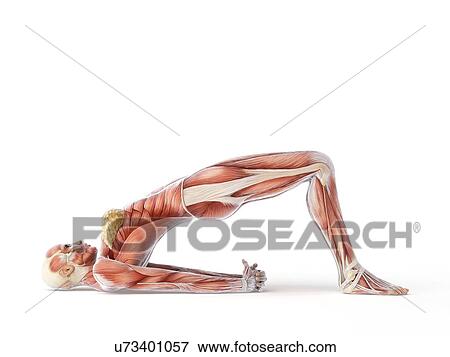 Yoga, artwork View Large Illustration Stock Illustration - Yoga, artwork. Fotosearch