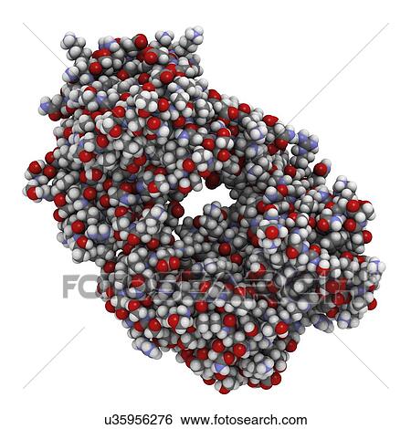 Stock Illustration - Alemtuzumab Fab fragment molecule. Fotosearch