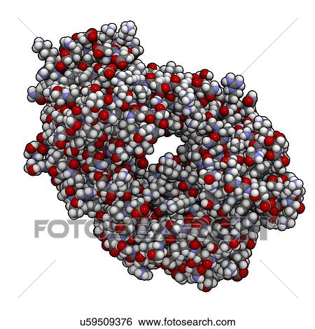 Stock Illustration - Alemtuzumab Fab fragment molecule. Fotosearch