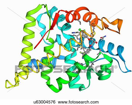 Androgen receptor and modulator View Large Illustration Stock Illustration - Androgen receptor and modulator. Fotosearch