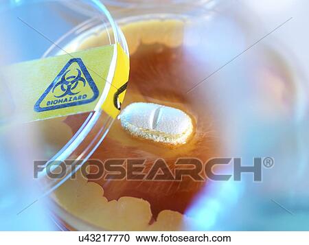 Antibiotic testing View Large Illustration Clipart - Antibiotic testing. Fotosearch