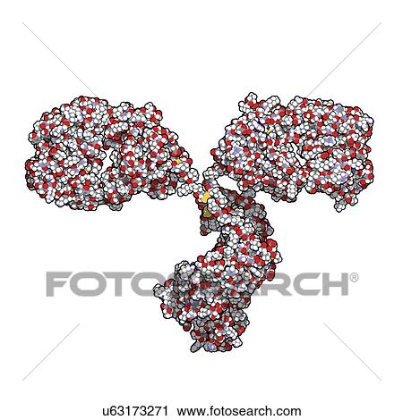 Antibody molecule View Large Illustration Clip Art - Antibody molecule. Fotosearch