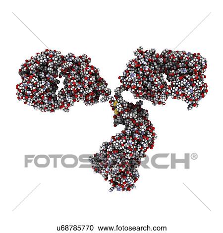 Clipart - Antibody molecule. Fotosearch