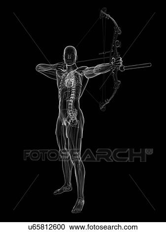 Clipart - Archer, artwork. Fotosearch