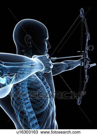 Drawing - Archer, artwork. Fotosearch