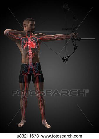 Archer, artwork View Large Illustration Drawing - Archer, artwork. Fotosearch