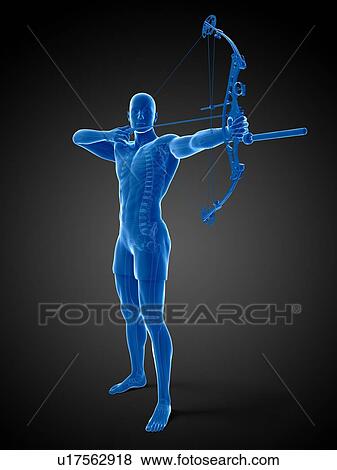 Stock Illustration - Archer, artwork. Fotosearch
