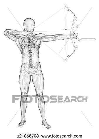 Archer, artwork View Large Illustration Stock Illustration - Archer, artwork. Fotosearch