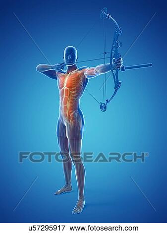 Archer, artwork View Large Illustration Stock Illustration - Archer, artwork. Fotosearch