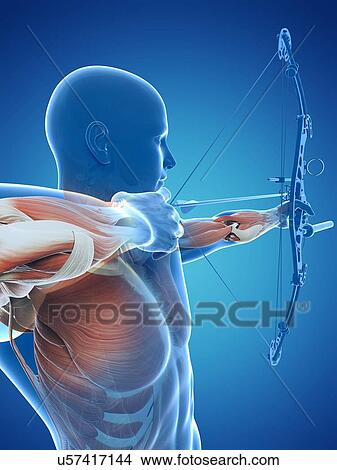 Archer, artwork View Large Illustration Stock Illustration - Archer, artwork. Fotosearch