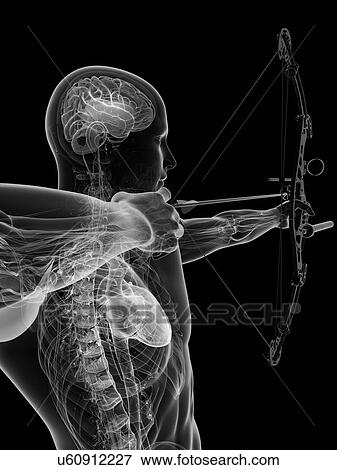 Archer, artwork View Large Illustration Stock Illustration - Archer, artwork. Fotosearch