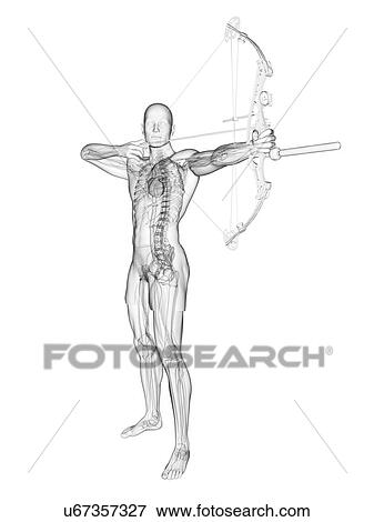 Archer, artwork View Large Illustration Stock Illustration - Archer, artwork. Fotosearch