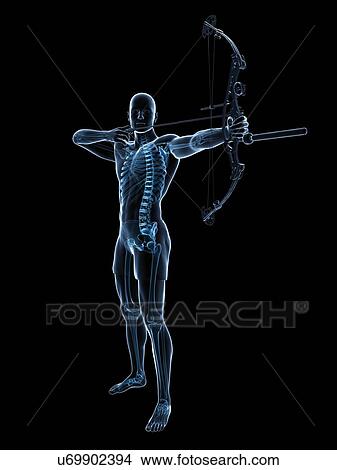 Stock Illustration - Archer, artwork. Fotosearch