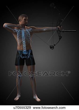 Stock Illustration - Archer, artwork. Fotosearch