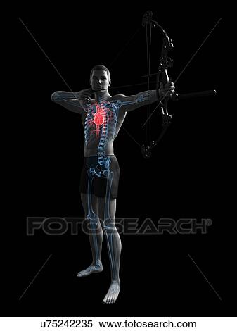 Archer, artwork View Large Illustration Stock Illustration - Archer, artwork. Fotosearch