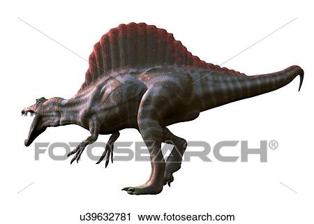 Artwork of a spinosaurus dinosaur View Large Illustration Clip Art - Artwork of a spinosaurus dinosaur. Fotosearch