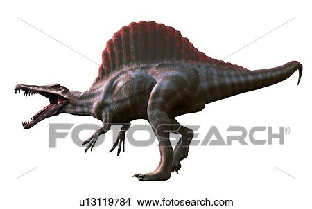 Artwork of a spinosaurus dinosaur View Large Illustration Stock Illustration - Artwork of a spinosaurus dinosaur. Fotosearch